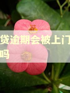网贷逾期会被上门催收吗