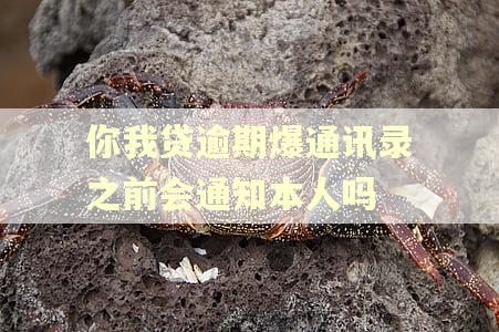 你我贷逾期爆通讯录之前会通知本人吗