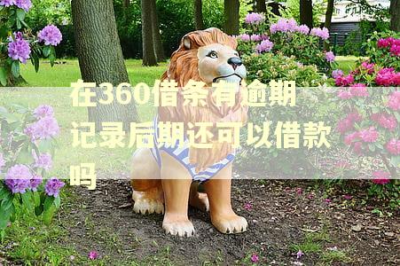 在360借条有逾期记录后期还可以借款吗