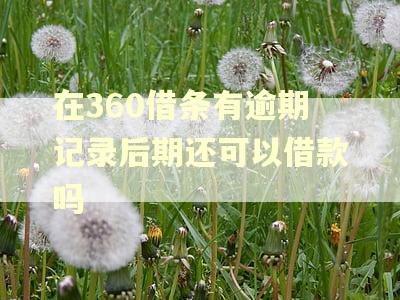 在360借条有逾期记录后期还可以借款吗