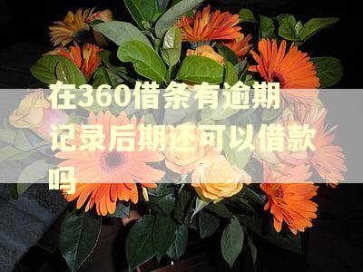 在360借条有逾期记录后期还可以借款吗