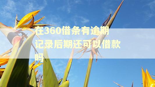 在360借条有逾期记录后期还可以借款吗 在360借条有逾期记录后期还可以借款吗