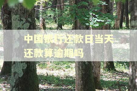 中国银行还款日当天还款算逾期吗