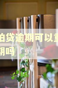 拍拍贷逾期可以重新分期吗