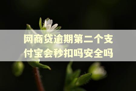 网商贷逾期第二个支付宝会秒扣吗安全吗