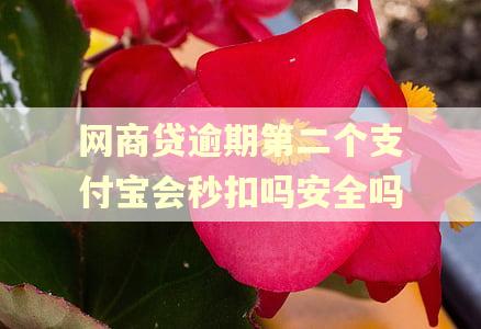 网商贷逾期第二个支付宝会秒扣吗安全吗 网商贷逾期第二个支付宝会秒扣吗安全吗