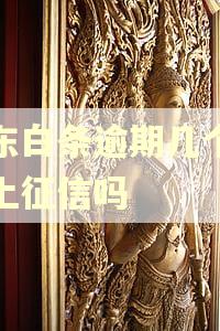 京东白条逾期几个小时上征信吗