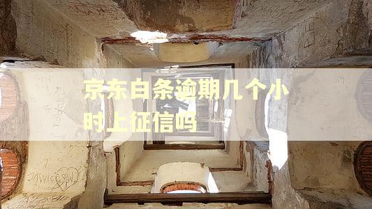京东白条逾期几个小时上征信吗