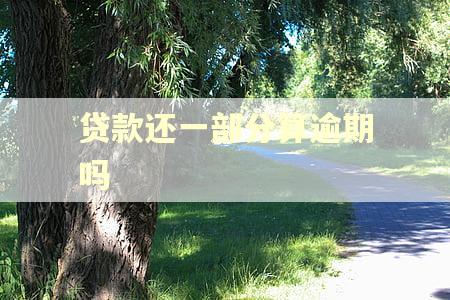 贷款还一部分算逾期吗 贷款还一部分算逾期吗