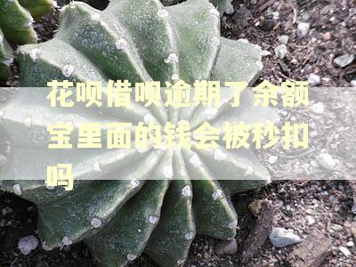 花呗借呗逾期了余额宝里面的钱会被秒扣吗