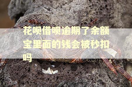 花呗借呗逾期了余额宝里面的钱会被秒扣吗