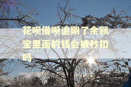 花呗借呗逾期了余额宝里面的钱会被秒扣吗