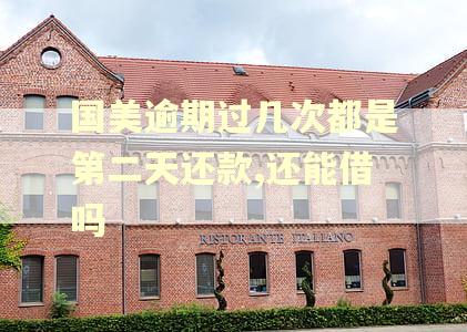 国美逾期过几次都是第二天还款,还能借吗