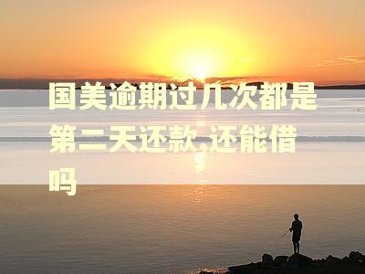 国美逾期过几次都是第二天还款,还能借吗