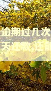 国美逾期过几次都是第二天还款,还能借吗