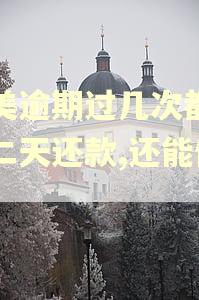 国美逾期过几次都是第二天还款,还能借吗 国美逾期过几次都是第二天还款,还能借吗