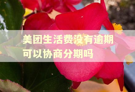 美团生活费没有逾期可以协商分期吗