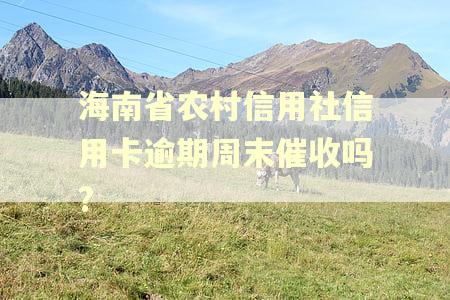 海南省农村信用社信用卡逾期周末催收吗?