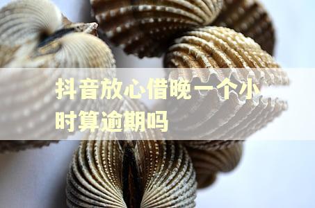抖音放心借晚一个小时算逾期吗