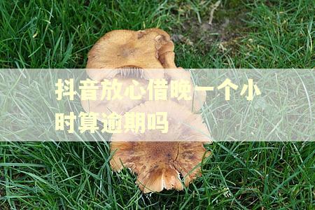 抖音放心借晚一个小时算逾期吗 抖音放心借晚一个小时算逾期吗