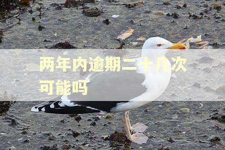 两年内逾期二十几次可能吗