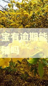支付宝有逾期能开淘宝店铺吗