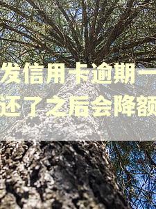 浦发信用卡逾期一个月还了之后会降额度吗