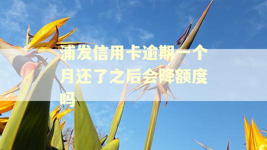 浦发信用卡逾期一个月还了之后会降额度吗 浦发信用卡逾期一个月还了之后会降额度吗