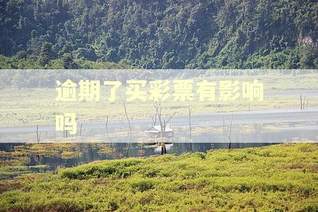 逾期了买彩票有影响吗
