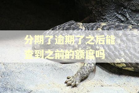 分期了逾期了之后能查到之前的额度吗