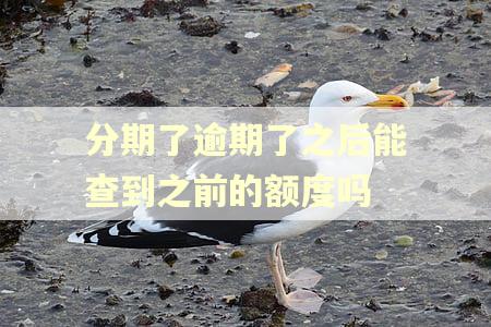 分期了逾期了之后能查到之前的额度吗