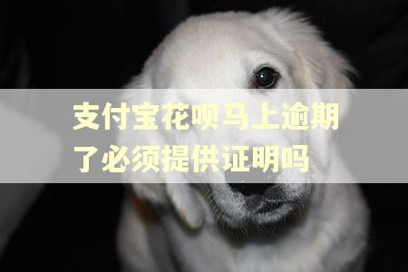 支付宝花呗马上逾期了必须提供证明吗