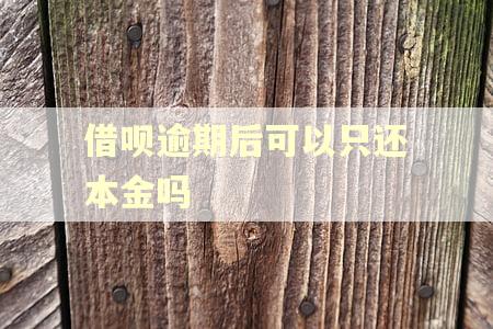 借呗逾期后可以只还本金吗