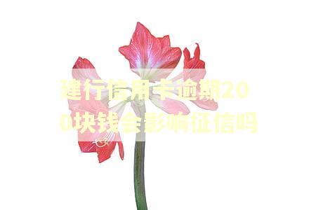 建行信用卡逾期200块钱会影响征信吗