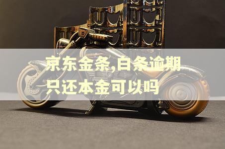 京东金条,白条逾期只还本金可以吗
