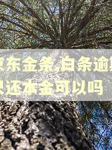京东金条,白条逾期只还本金可以吗