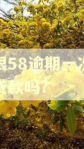长银58逾期一次还能贷款吗?
