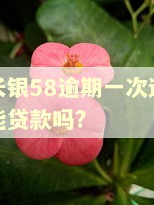 长银58逾期一次还能贷款吗? 长银58逾期一次还能贷款吗?