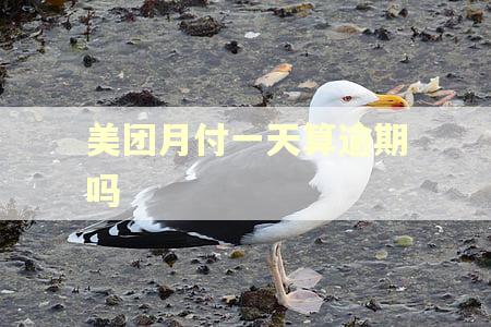 美团月付一天算逾期吗