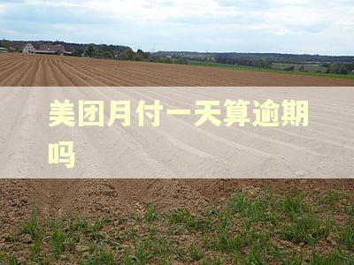 美团月付一天算逾期吗