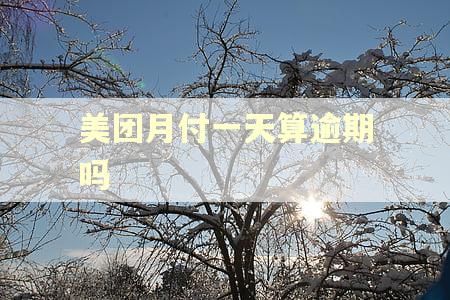 美团月付一天算逾期吗 美团月付一天算逾期吗