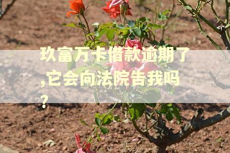 玖富万卡借款逾期了,它会向法院告我吗?