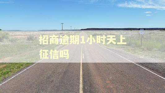 招商逾期1小时天上征信吗