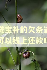 借贷宝补的欠条逾期后可以线上还款吗