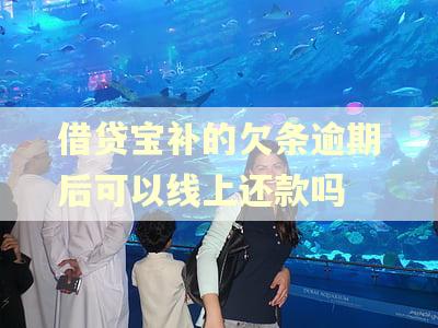 借贷宝补的欠条逾期后可以线上还款吗