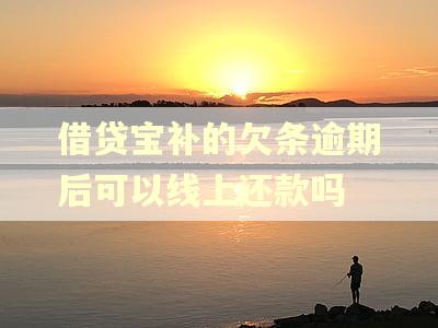 借贷宝补的欠条逾期后可以线上还款吗 借贷宝补的欠条逾期后可以线上还款吗