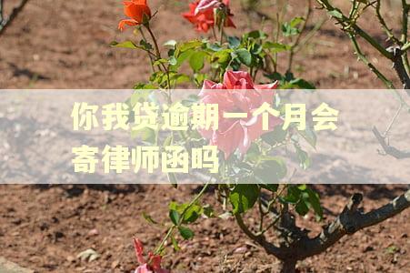你我贷逾期一个月会寄律师函吗
