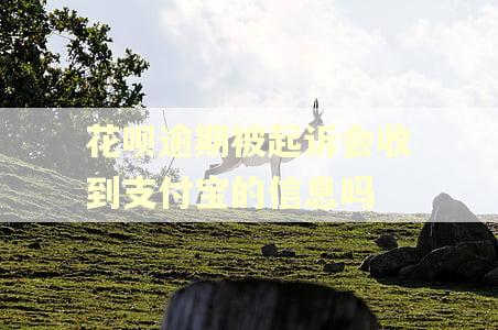 花呗逾期被起诉会收到支付宝的信息吗