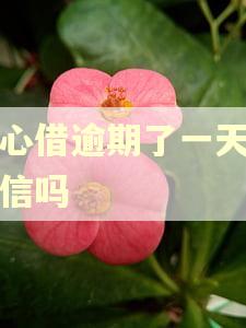 放心借逾期了一天上征信吗