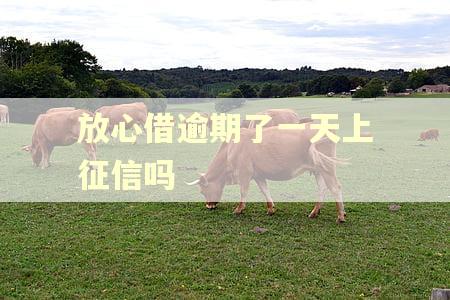 放心借逾期了一天上征信吗 放心借逾期了一天上征信吗